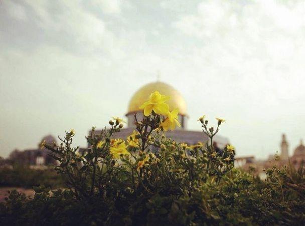 الطقس: انخفاض ملموس