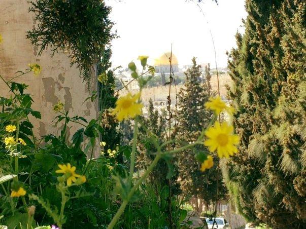 أجواء غائمة مغبرة