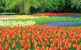 غدا ينتهي فصل الشتاء… ويتساوى الليل بالنهار على الكرة الارضية