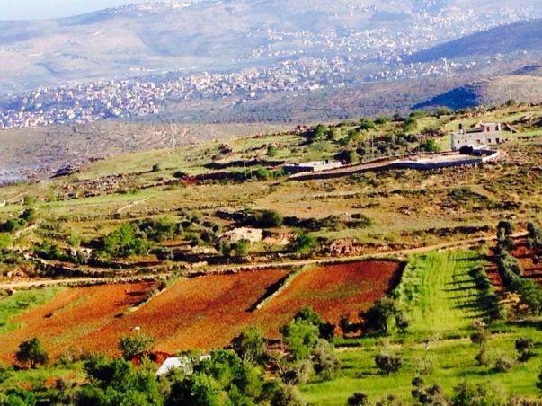 ارتفاع درجات الحرارة