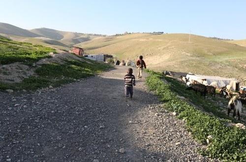 حمادين : المستوطنين شكلوا وحدة شرطية لمطاردة البدو وضرب ممتلكاتهم