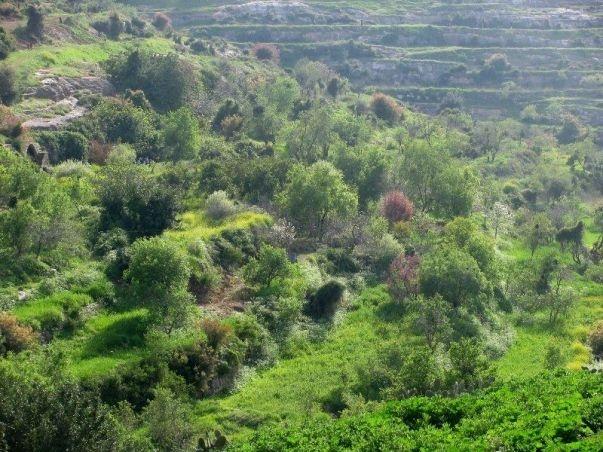 الطقس: ارتفاع آخر على درجات الحرارة