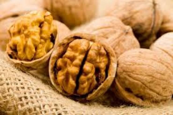 دراسة حديثة...هذه هي فوائد الجوز