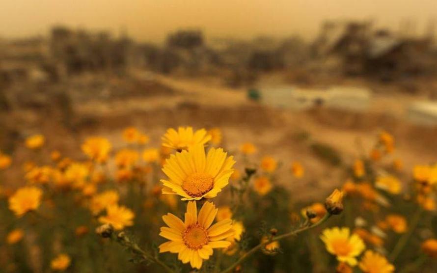 أجواء ربيعية صافية اليوم