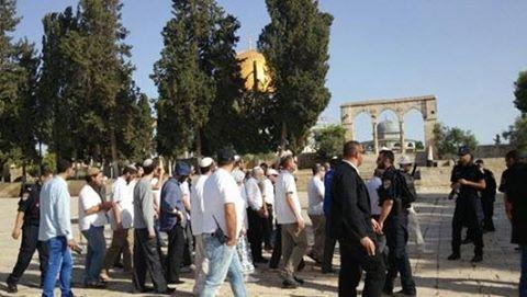 مستوطنون يؤدون طقوسا دينية في الأقصى ويعتدون على الحراس