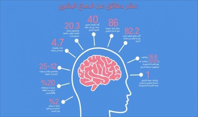 فقدان الوزن يحمي دماغ مريض السكري