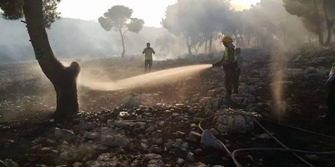 الدفاع المدني يدعو لتقليل حرائق الأعشاب الجافة والمزروعات