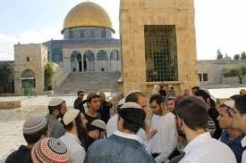 152 مستوطنًا يقتحمون الأقصى ومحاولة لأداء طقوس تلمودية