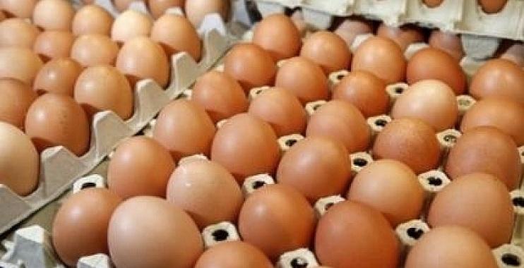 منتجو البيض يحققون جزءا من مطالبهم