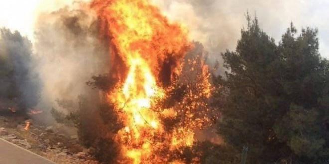 حريق هائل في احراش صفد وطائرات تشارك في اخماده