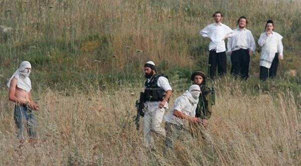 مستوطنون يجرفون أراضي في سلفيت ونابلس