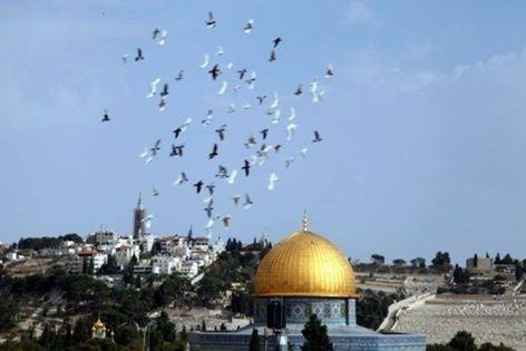 حالة الطقس:الجو حار وجاف