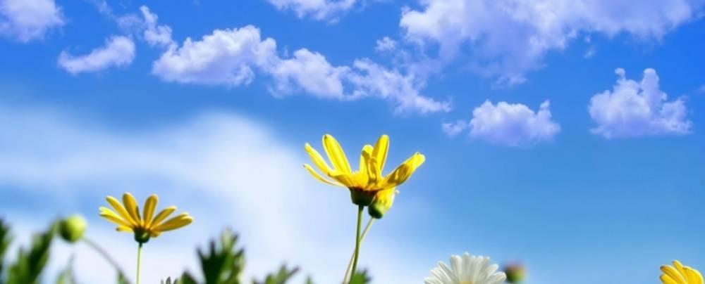 درجات الحرارة أدنى من معدلها السنوي