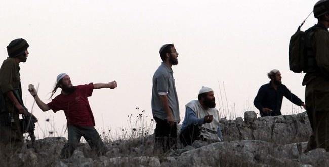 مستوطنون يضعون علامات على مئات أشجار الزيتون تمهيدا لقطعها في سلفيت