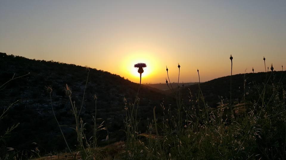 حالة الطقس: انخفاض على درجات الحرارة وفرصة ضعيفة لسقوط امطار خفيفة