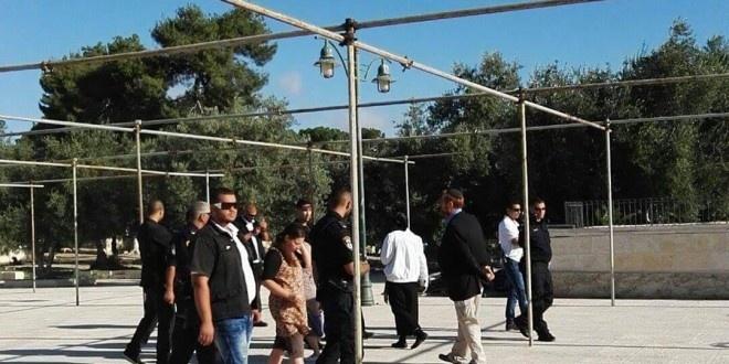 غليك يقتحم الاقصى برفقة مجموعة من المتطرفين اليهود وبحراسة الاحتلال
