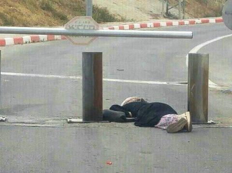الاحتلال يسلم جثمان الشهيدة منصور عصر اليوم