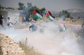 إصابات بالاختناق واحتراق عشرات الدونمات في بلعين