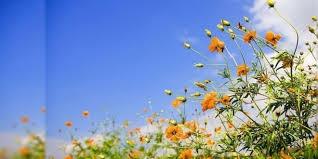 الطقس:ارتفاع آخر على درجات الحرارة