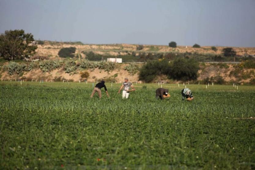 إصابة مزارع بانفجار جسم مشبوه شرق دير البلح