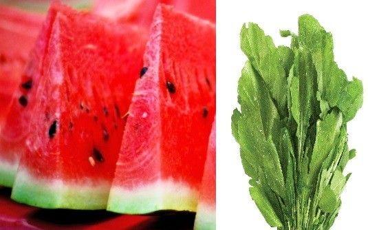 توصية بالجرجير والبطيخ برمضان لغناهما بالماء