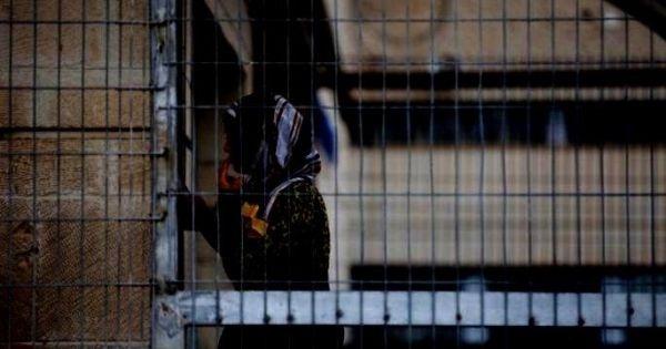 42 اسيرة يعشن ظروفاً صعبة في سجون الاحتلال