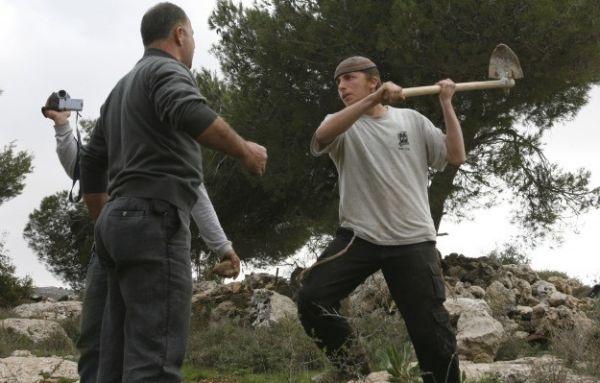 مستوطنون يشرعون بتجريف 15 دونما من اراضي الخضر جنوب بيت لحم