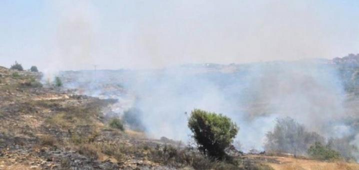 تضرر عشرات الدنومات المزروعة باللوزيات بفعل حريق كبير في الخضر