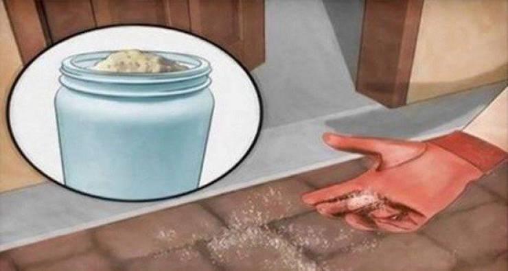 انظروا ماذا يفعل رش الملح حول المنزل؟