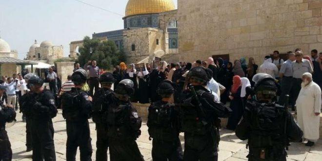 الاحتلال يعتقل حارس المسجد الأقصى