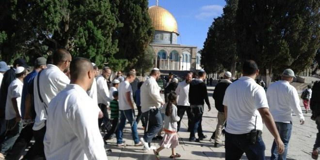 المستوطنون يجددون اقتحاماتهم لـ