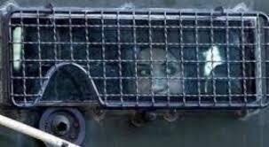 قرار بالإفراج عن الأسيرة القاصر سلوى طقاقطة