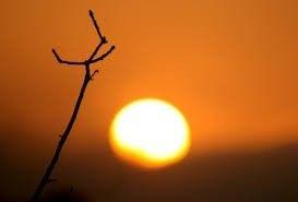 استمرار الأجواء الحارة والارصاد تحذر