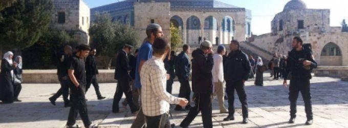 نحو 60 مستوطنا يقتحمون الأقصى في هذه الأثناء