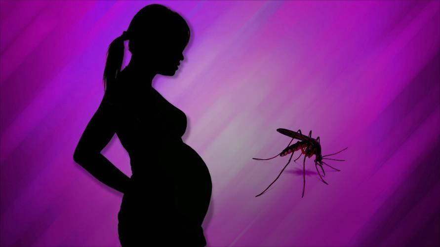 كيف يمكن كشف فيروس زيكا؟ وهل يشكل خطرا على الحامل؟