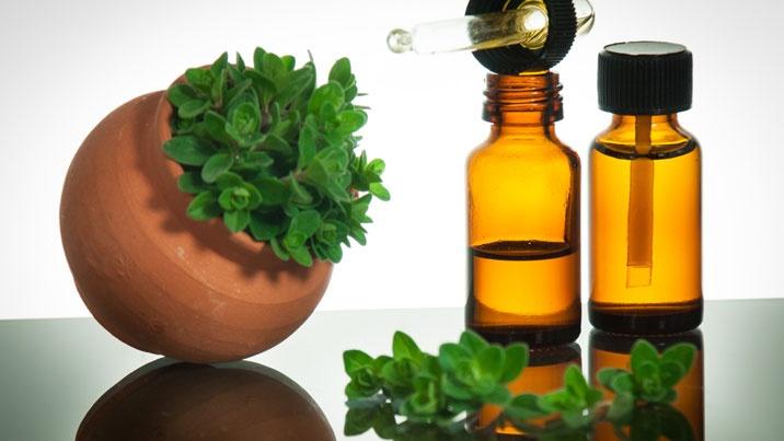 زيت الزيتون : الكنز الأخضر