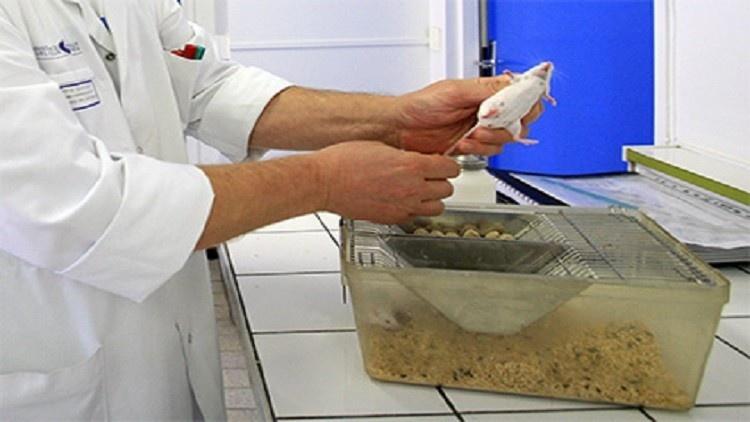 الأطباء يؤكدون ضرر الإضاءة الاصطناعية