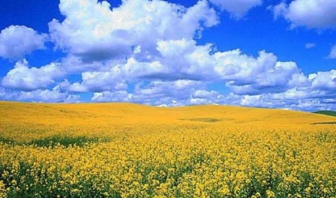 حالة الطقس: استمرار ارتفاع درجات الحرارة حتى الأحد