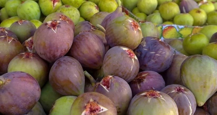 التين الطازج.. يعالج الجروح ويحمى من السرطان