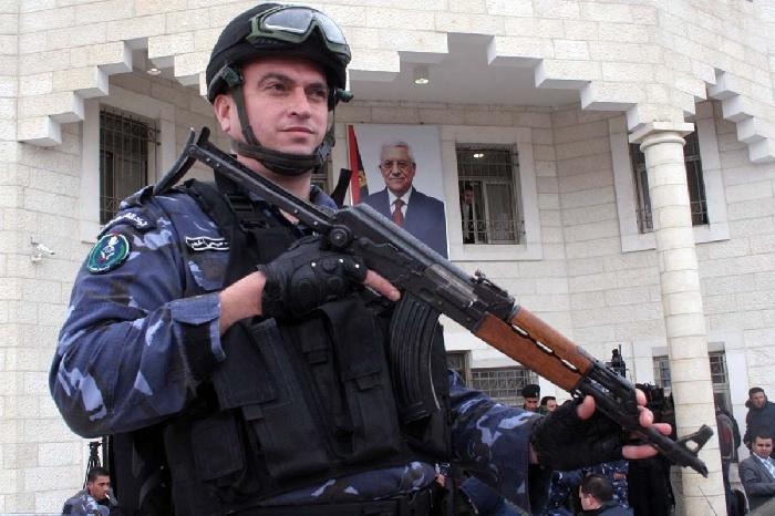 ارزيقات: الشرطة الفلسطينية تضبط 112 شتلة مخدرات وتتصدى لمحاولة الاحتلال سرقتها