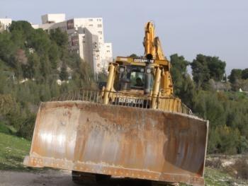 قوات الاحتلال تقتلع أشجار زيتون جنوب بيت لحم