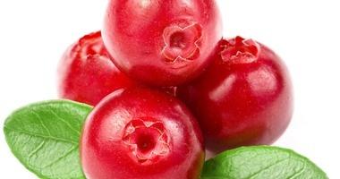 دراسات: التوت يحسن صحة الأمعاء والقلب والدماغ