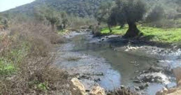 مستوطنون يضخون المياه العادمة على أراض زراعية غرب بيت لحم