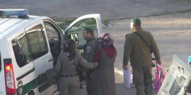 الاحتلال يحتجز فتاة بمنطقة “الكرنتينا” في الخليل