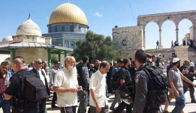 لوحات فنية في ميناء غزة دعما للسفن النسائية التضامنية