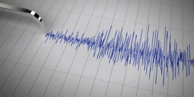 زلزالان عنيفان يضربان سواحل فيجي وتونغا