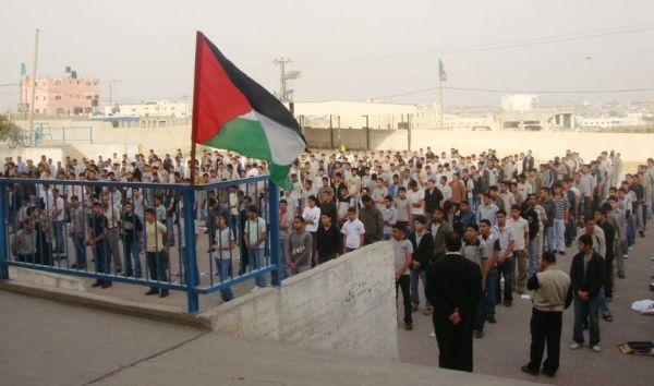 سفينة 