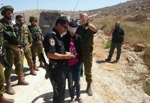 الاحتلال يعتقل فتاة قرب نابلس بحجة تنفيذها عملية طعن