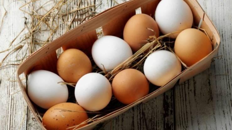 هل تعرفون الفرق بين البيض الأبيض والبني ؟