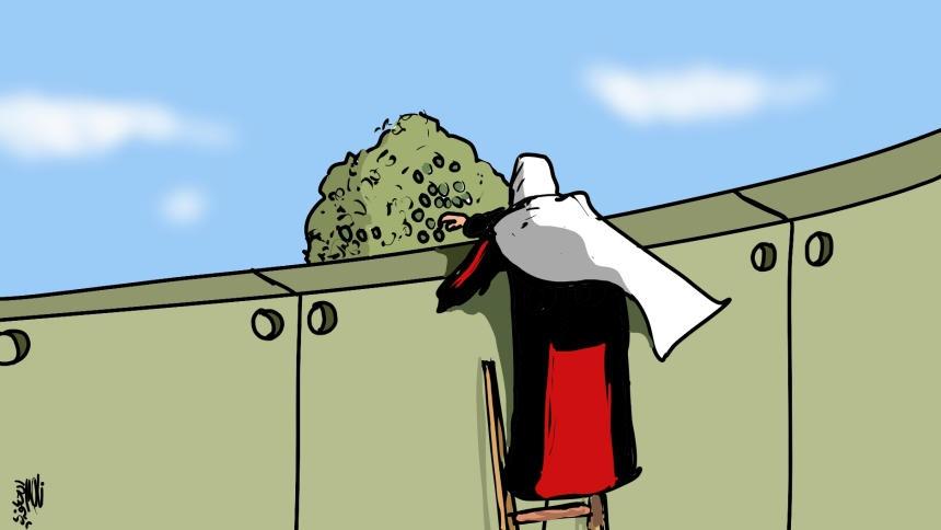 موسم قطف الزيتون